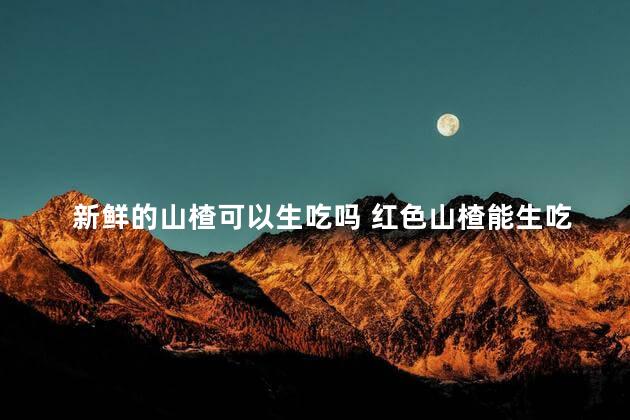 新鲜的山楂可以生吃吗 红色山楂能生吃吗